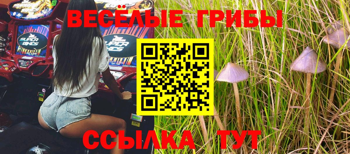 Галлюциногенные грибы ЛСД Воркута